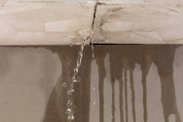 Professional Structural Drying technician working in Georges Mills, NH